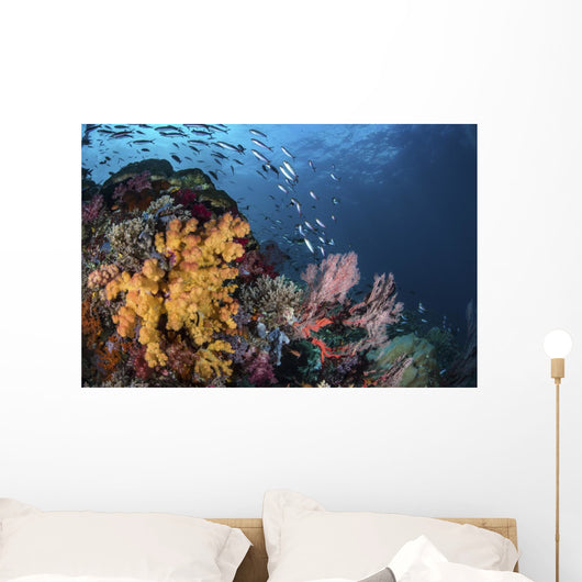 Coral Reef with Schools Wall Decal