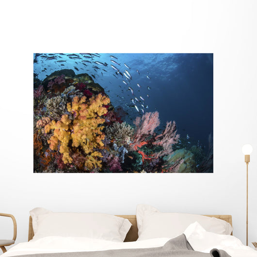 Coral Reef with Schools Wall Decal