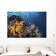 Coral Reef with Schools Wall Decal