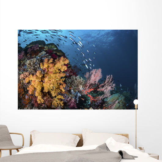 Coral Reef with Schools Wall Decal