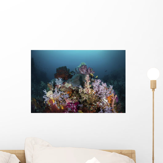 Reef with Soft Corals Wall Decal
