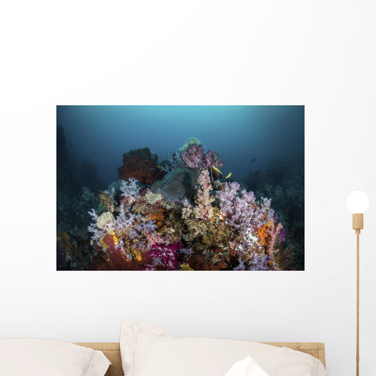Reef with Soft Corals Wall Decal