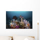 Reef with Soft Corals Wall Decal