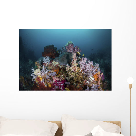 Reef with Soft Corals Wall Decal