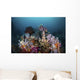 Reef with Soft Corals Wall Decal