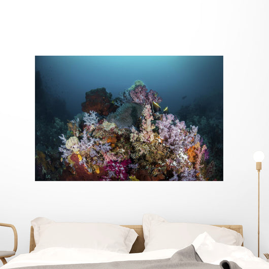 Reef with Soft Corals Wall Decal