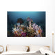 Reef with Soft Corals Wall Decal
