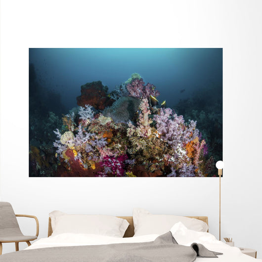 Reef with Soft Corals Wall Decal