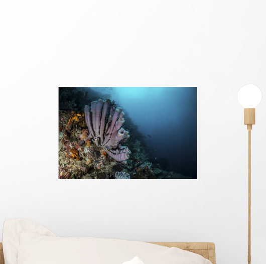 Purple Tube Sponges Adorn Wall Decal