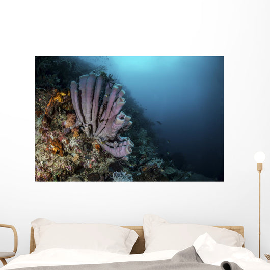 Purple Tube Sponges Adorn Wall Decal