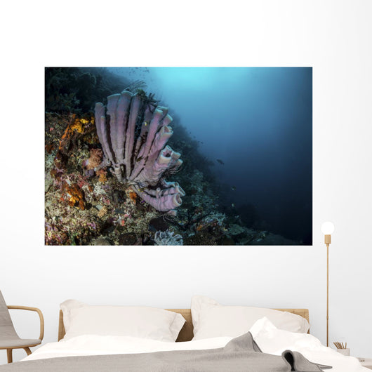 Purple Tube Sponges Adorn Wall Decal