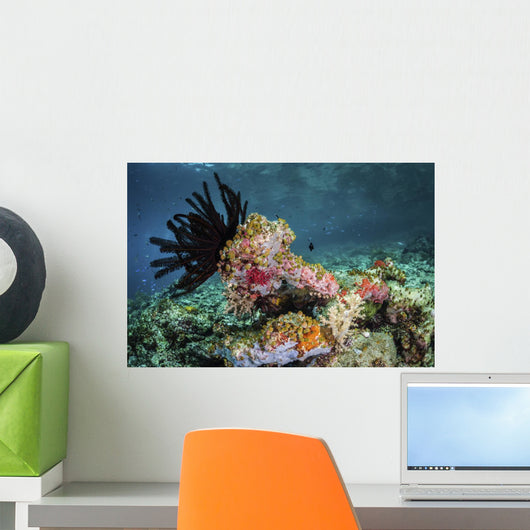 Crinoid and Tunicates Cover Wall Decal