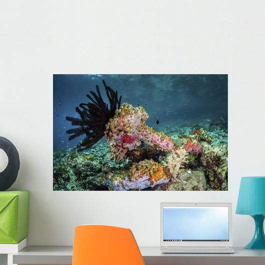 Crinoid and Tunicates Cover Wall Decal