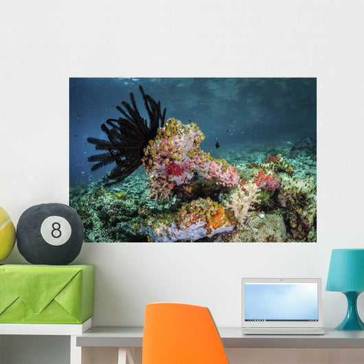 Crinoid and Tunicates Cover Wall Decal