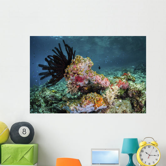 Crinoid and Tunicates Cover Wall Decal