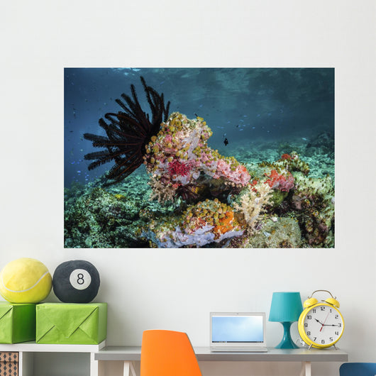 Crinoid and Tunicates Cover Wall Decal