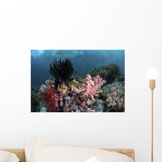 Crinoids and Soft Corals Wall Decal