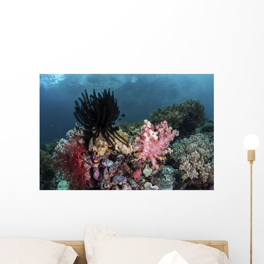 Crinoids and Soft Corals Wall Decal