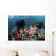 Crinoids and Soft Corals Wall Decal