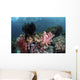 Crinoids and Soft Corals Wall Decal