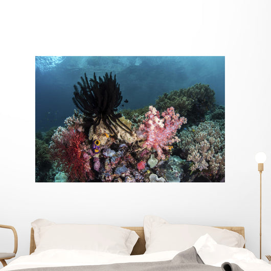 Crinoids and Soft Corals Wall Decal