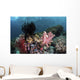 Crinoids and Soft Corals Wall Decal