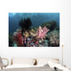 Crinoids and Soft Corals Wall Decal