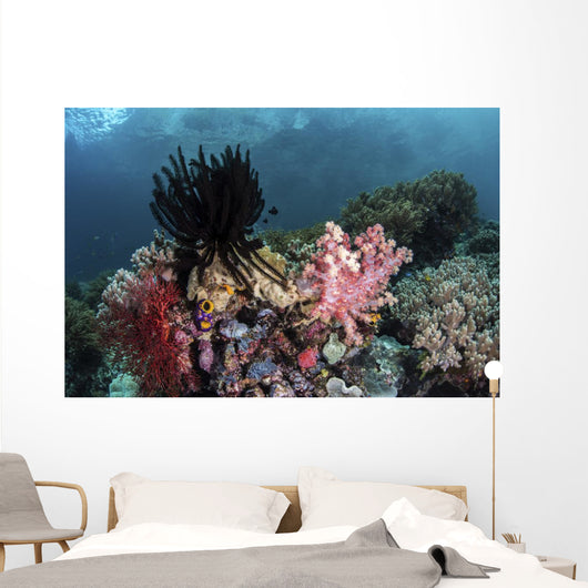 Crinoids and Soft Corals Wall Decal