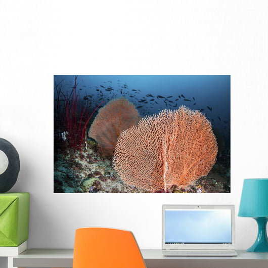 Sea Fans and Fish Wall Decal