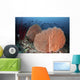 Sea Fans and Fish Wall Decal