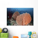 Sea Fans and Fish Wall Decal