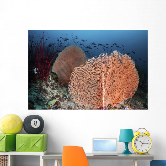 Sea Fans and Fish Wall Decal