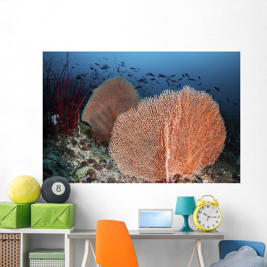 Sea Fans and Fish Wall Decal