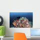 Colorful Soft Corals and Wall Decal