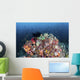 Colorful Soft Corals and Wall Decal