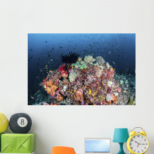 Colorful Soft Corals and Wall Decal