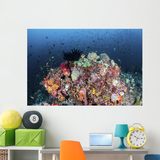 Colorful Soft Corals and Wall Decal