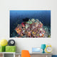 Colorful Soft Corals and Wall Decal
