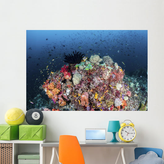 Colorful Soft Corals and Wall Decal