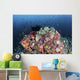 Colorful Soft Corals and Wall Decal