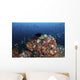 Colorful Coral Reef Raja Wall Decal
