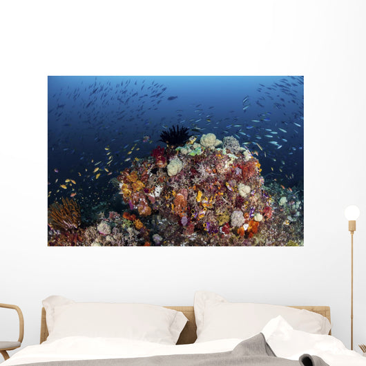 Colorful Coral Reef Raja Wall Decal