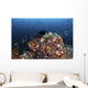 Colorful Coral Reef Raja Wall Decal