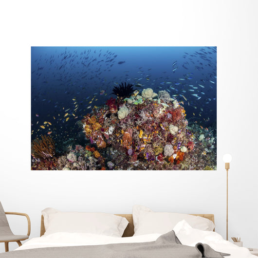 Colorful Coral Reef Raja Wall Decal
