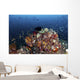 Colorful Coral Reef Raja Wall Decal