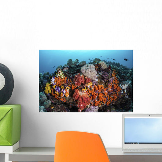 Sea Squirts and Soft Wall Decal
