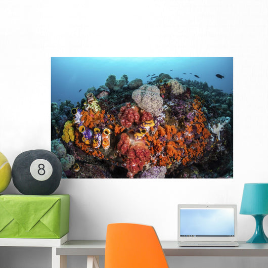Sea Squirts and Soft Wall Decal