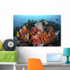 Sea Squirts and Soft Wall Decal