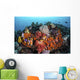 Sea Squirts and Soft Wall Decal