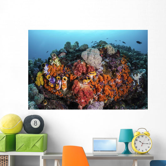 Sea Squirts and Soft Wall Decal